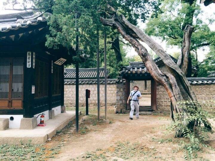 외국인이 촬영한 우리나라 풍경 | 인스티즈