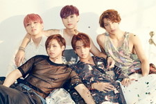 아이돌 그룹별 팬클럽이름 | 인스티즈