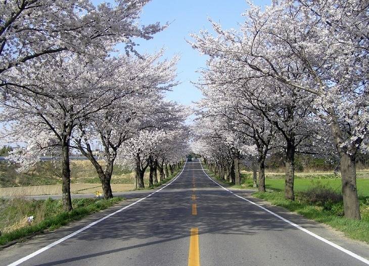 대한민국 최고의 드라이브코스들 총망라 | 인스티즈