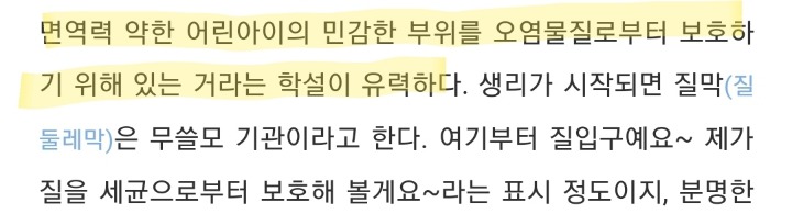 질막(처녀막)에 대해 넌 어디까지 알고있니? | 인스티즈