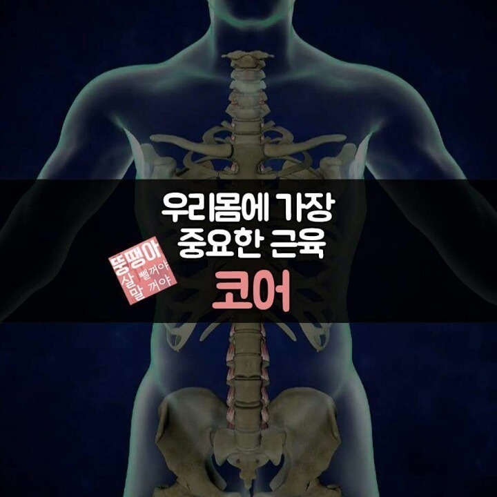 우리몸에서 가장 중요한 코어 근육 운동법.jpgif | 인스티즈