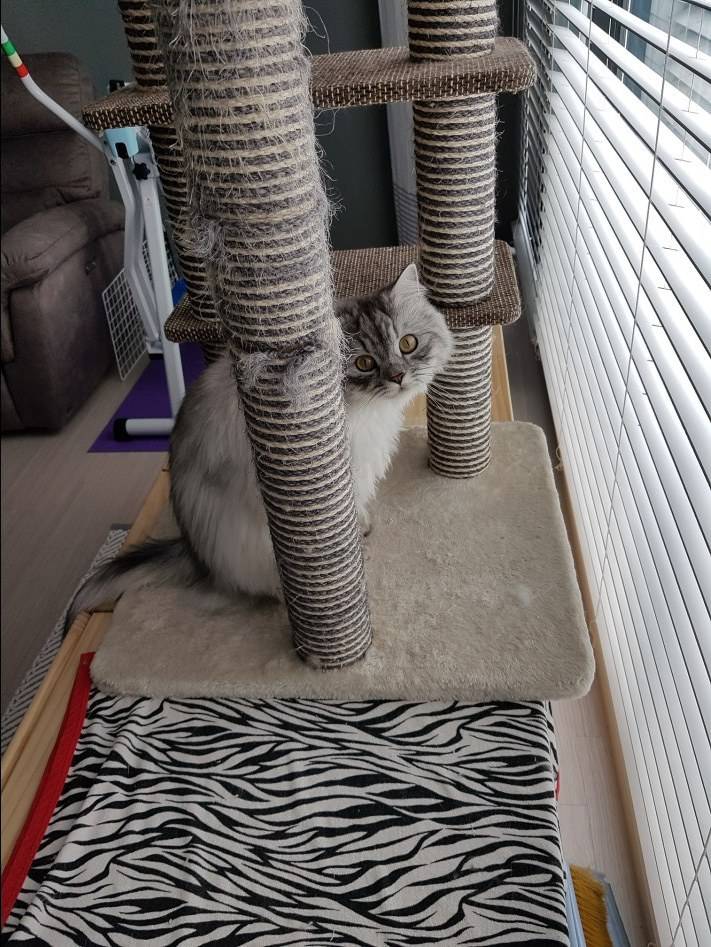 자취방에서 아파트로! 신혼집이 되었습니다 | 인스티즈