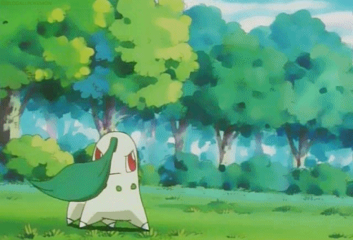 포켓몬스터) 넘나 귀여운 치코리타 짤모음 | 인스티즈