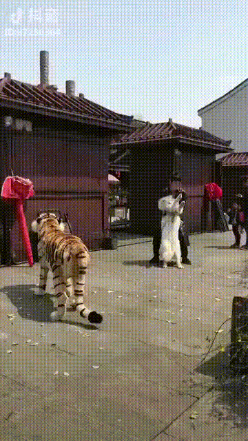 [만화] 딸치다 걸린 멍멍이 | 인스티즈