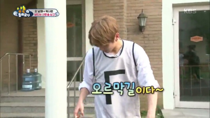 정말 타고난 것 같은 천사시안이 모음 | 인스티즈