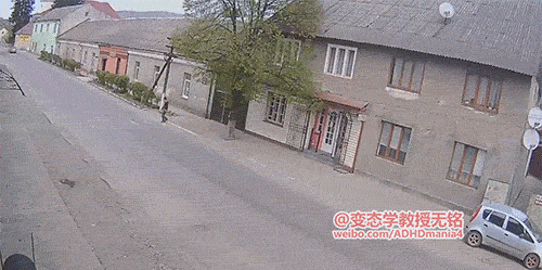 중국의 한 교통사고.GIF (혐오주의) | 인스티즈