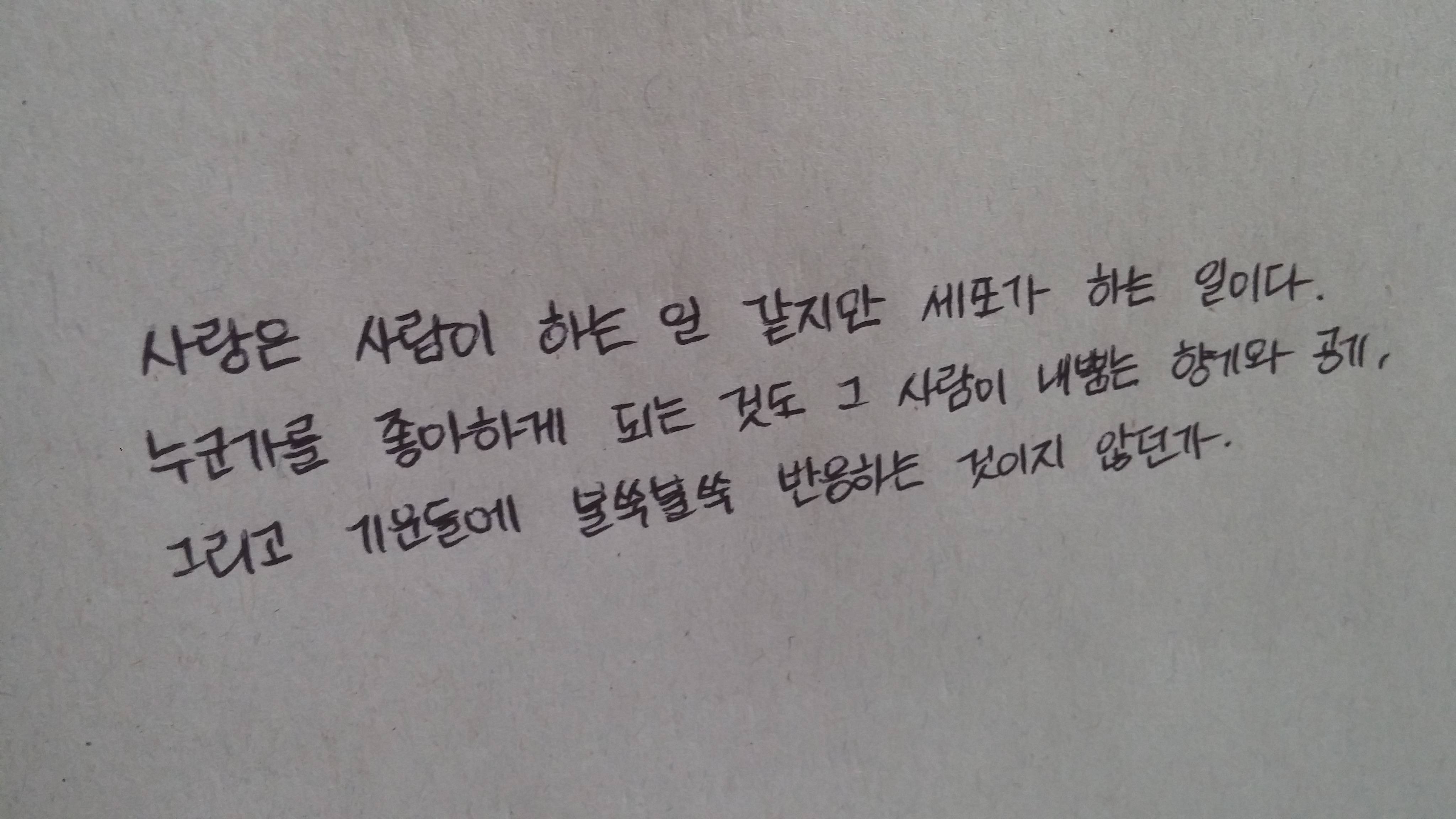 외로움과 외사랑에 지친 분들을 위한 시/글귀 | 인스티즈