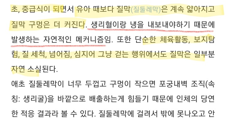 질막(처녀막)에 대해 넌 어디까지 알고있니? | 인스티즈