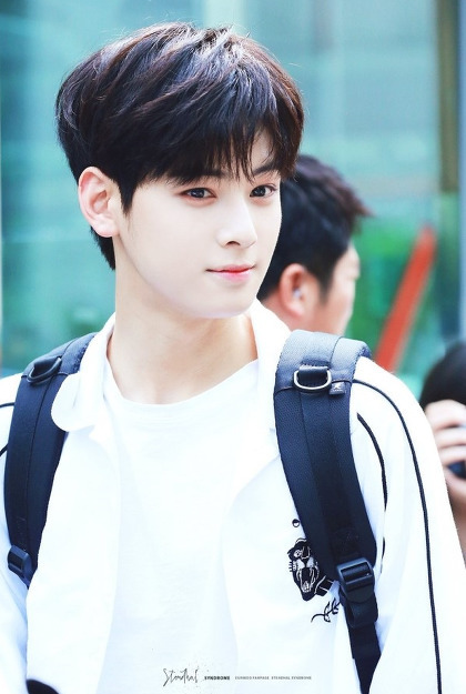 [데이터주의] 차은우 미모 수준 | 인스티즈