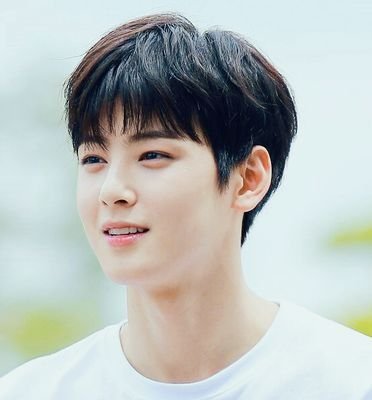 [데이터주의] 차은우 미모 수준 | 인스티즈