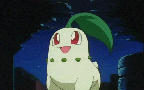 포켓몬스터) 넘나 귀여운 치코리타 짤모음 | 인스티즈