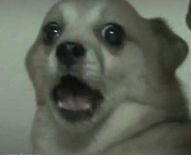 [고르기] 짝사랑에 실패하면 당신은 어느 경우? | 인스티즈