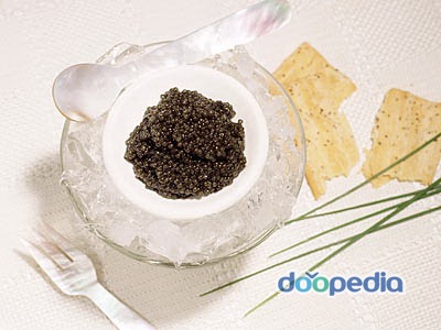 5년동안 이 음식들중 3가지만 먹어야한다. 당신의 선택은? | 인스티즈