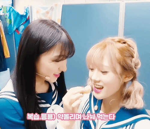 조련당하는 우주소녀 루다 | 인스티즈