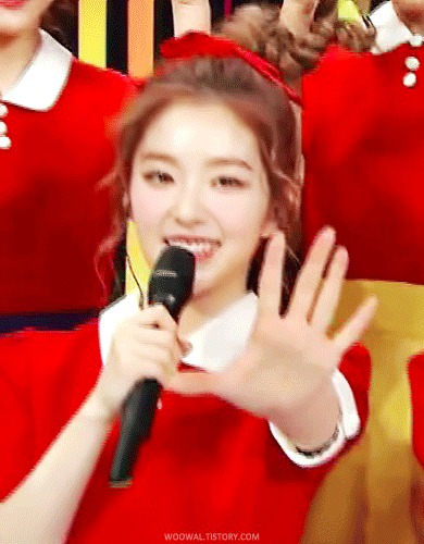  활동별로 보는 레드벨벳 아이린.jpgif | 인스티즈