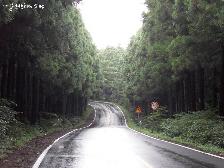 대한민국 최고의 드라이브코스들 총망라 | 인스티즈
