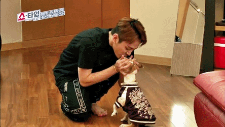 웃긴짤들 모음 | 인스티즈