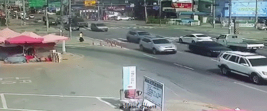 강화 교통섬 사망사고.gif (혐오주의) | 인스티즈