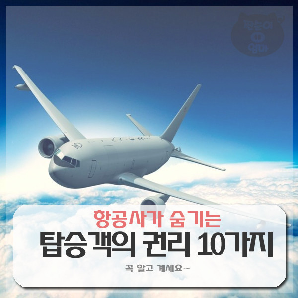 항공사가 숨기는 탑승객의 권리 10가지 | 인스티즈