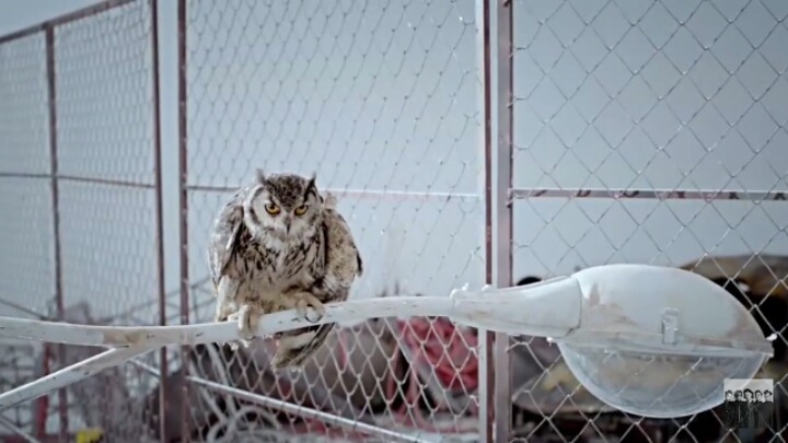 모든 YG 뮤비에서 절대 빠지면 안되는 4대장 | 인스티즈