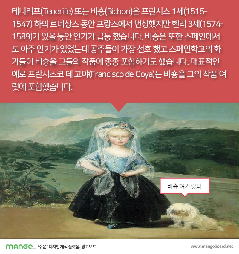 [견종정보] 비숑 프리제 이야기 | 인스티즈