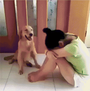 주인 위로해주는 댕댕이.gif | 인스티즈