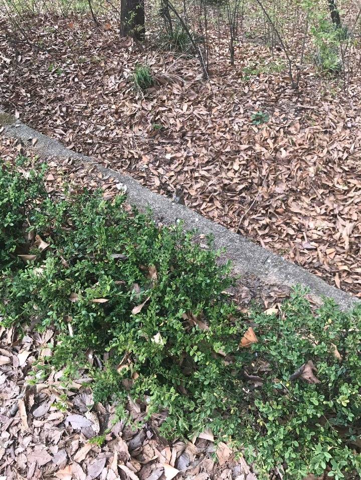 다람쥐는 어디에 있을까요? | 인스티즈