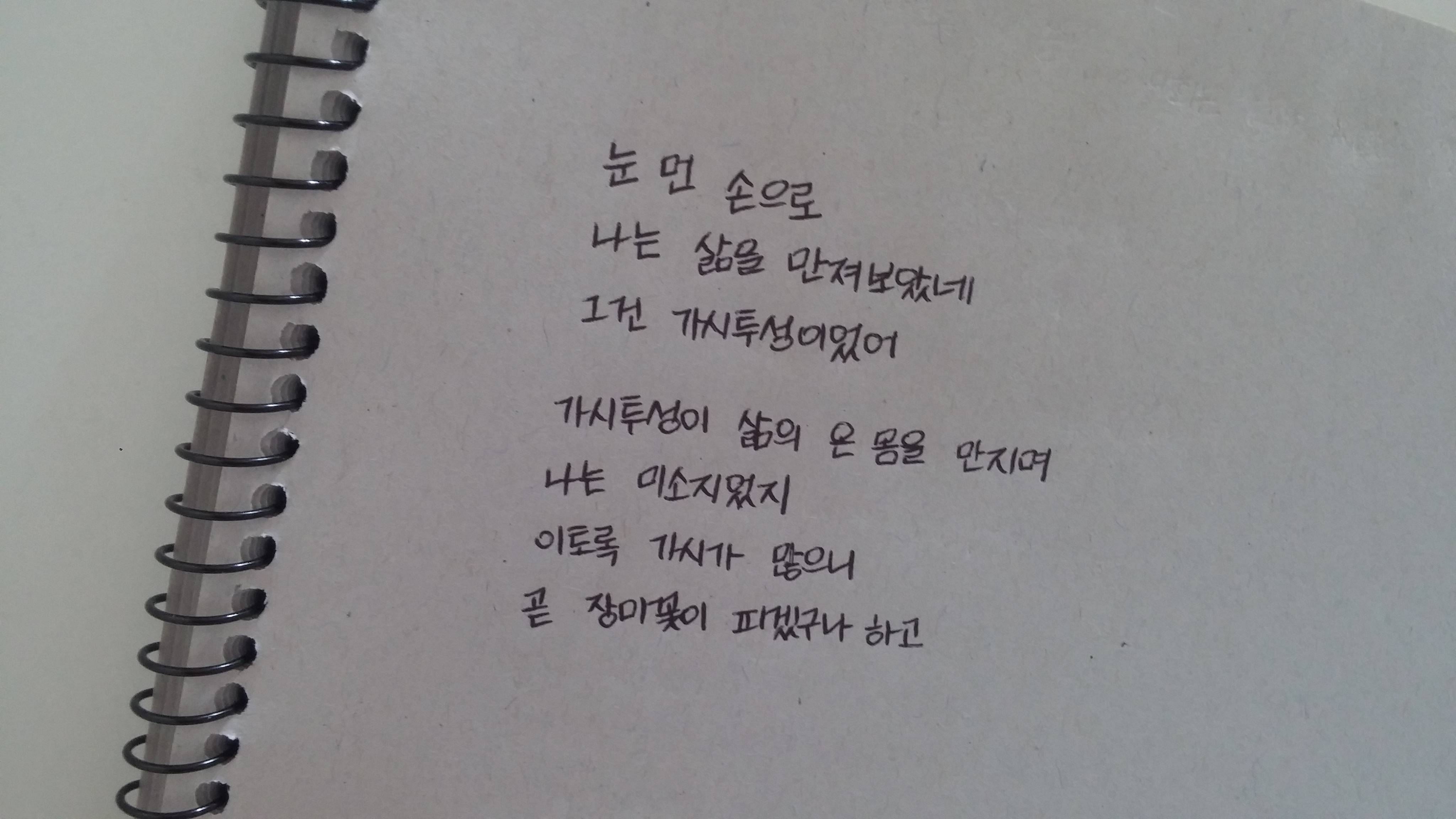 외로움과 외사랑에 지친 분들을 위한 시/글귀 - 인스티즈(instiz) 이슈 카테고리
