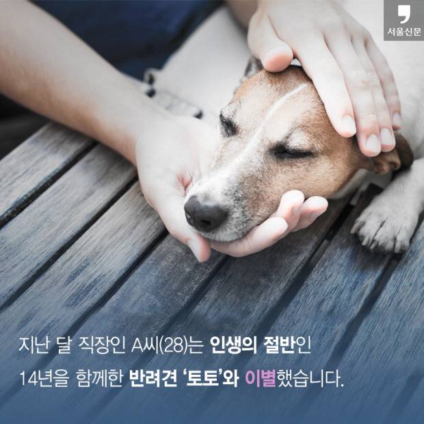 처음 반려동물 만났을때 너무 좋고 예뻐서 전혀 생각하지 못하는 것.jpg | 인스티즈