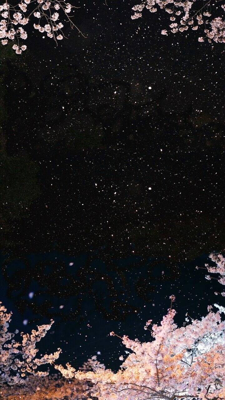 블랙성애자의 스마트폰 배경화면 모음 | 인스티즈