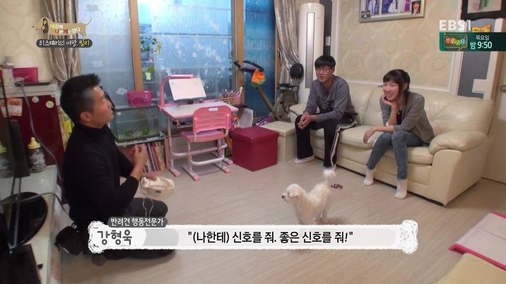 [세상에나쁜개는없다] 가족들에게 짖고 무는 강아지 릴리햏 | 인스티즈