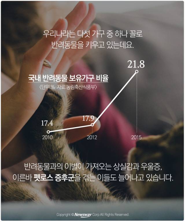 처음 반려동물 만났을때 너무 좋고 예뻐서 전혀 생각하지 못하는 것.jpg | 인스티즈