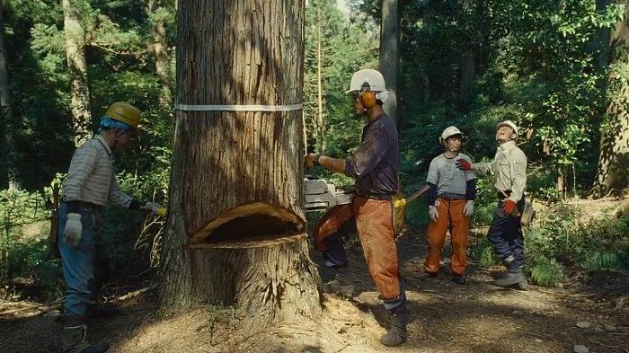 ＜일본 영화＞ 홍보 전단지의 미녀에 반해 산림관리 연수에 지원하게 되는데..jpg | 인스티즈