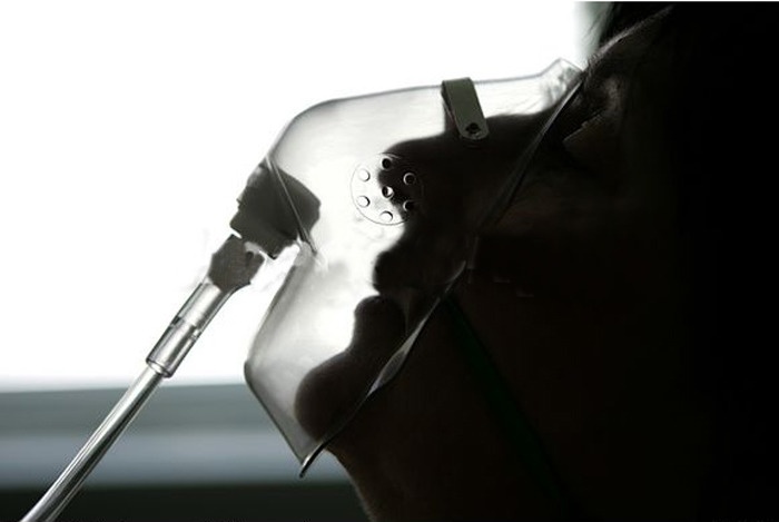 만약 싸고 간편한 안락사 약물이 개발돼서 전세계의 모든 인류가 점점 사라진다면? | 인스티즈