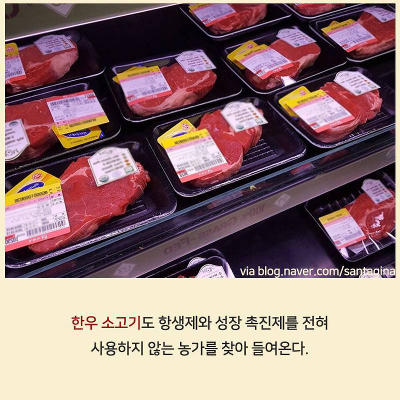 연희동의 50년 된 대형마트가 사랑받는 이유 | 인스티즈