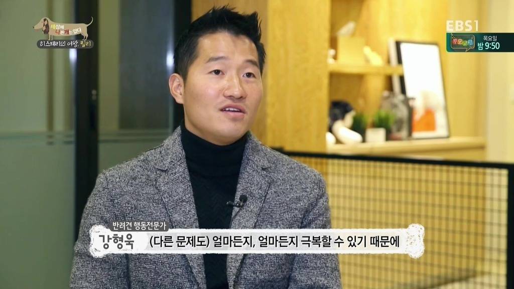 [세상에나쁜개는없다] 가족들에게 짖고 무는 강아지 릴리햏 | 인스티즈