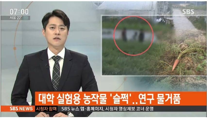 "고기 구워 먹으려 당근 서리"…알고 보니 1억원짜리 연구용 | 인스티즈