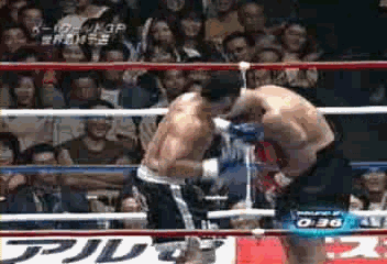 추억의 K-1 선수 | 인스티즈