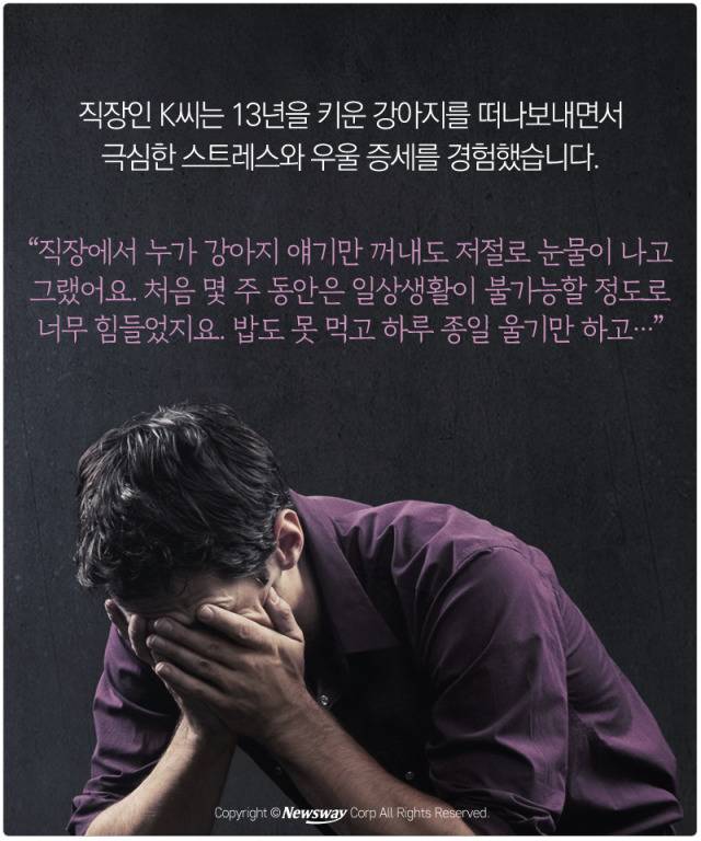 처음 반려동물 만났을때 너무 좋고 예뻐서 전혀 생각하지 못하는 것.jpg | 인스티즈