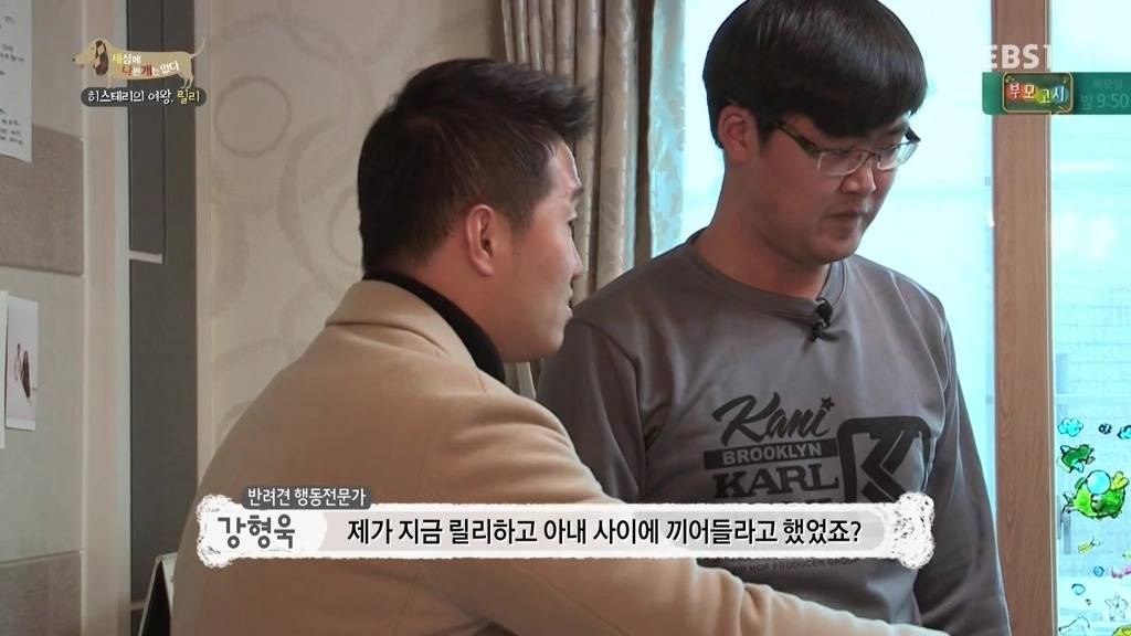 [세상에나쁜개는없다] 가족들에게 짖고 무는 강아지 릴리햏 | 인스티즈