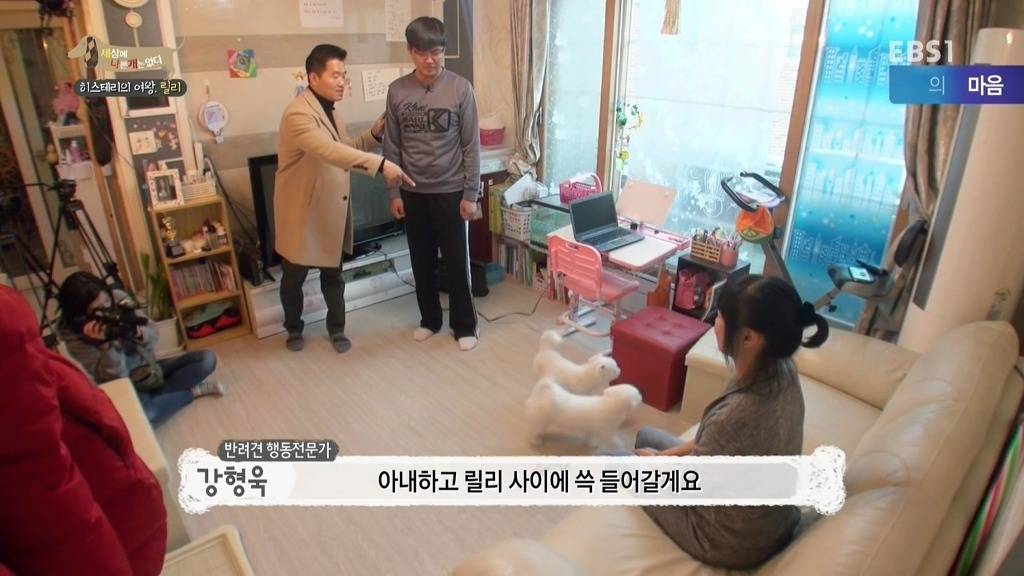 [세상에나쁜개는없다] 가족들에게 짖고 무는 강아지 릴리햏 | 인스티즈