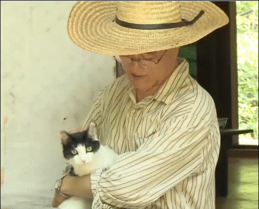 자연과 모든 동식물을 사랑하시는 문재인 대통령 일화 | 인스티즈