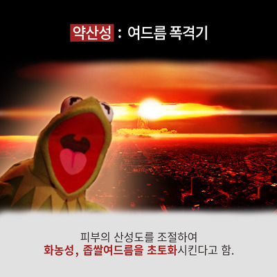 엘모가 말하는 여드름 박멸하는 4가지 방법 (심장어택주의) | 인스티즈