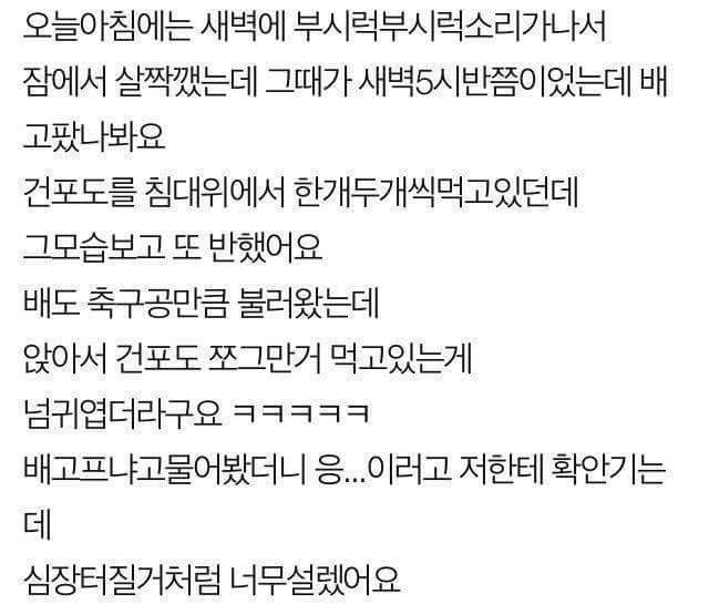 띠동갑 아내가 딸같습니다 | 인스티즈