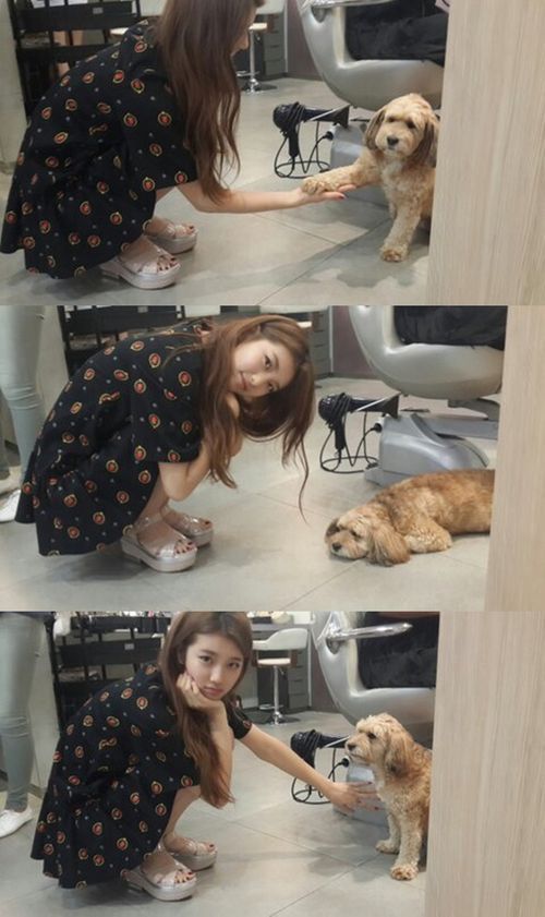 효리네민박이 무슨 그렇게 대단한 프로라고 | 인스티즈