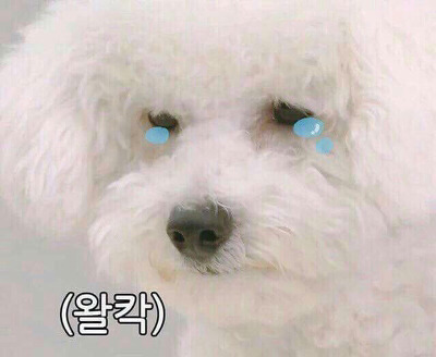 은근히 좋아하는 사람이 많은 드라마 설정.jjitong | 인스티즈