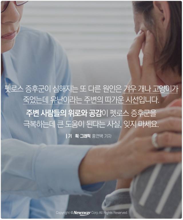 처음 반려동물 만났을때 너무 좋고 예뻐서 전혀 생각하지 못하는 것.jpg | 인스티즈