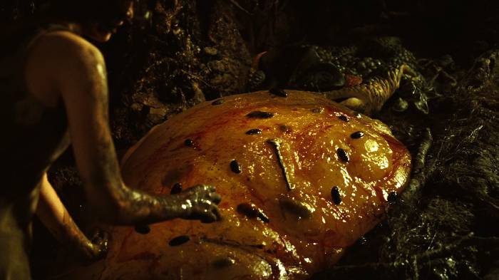 꿈이야 생시야 알 수가 없는 판의 미로 -12- (혐오주의) | 인스티즈