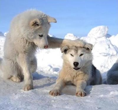 새내기가 대학생활에 실망하는과정 | 인스티즈
