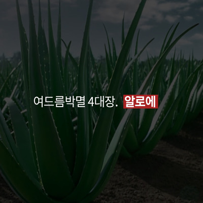 엘모가 말하는 여드름 박멸하는 4가지 방법 (심장어택주의) | 인스티즈